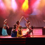 revue cabaret soleil
