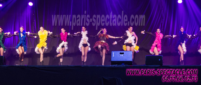 Organisation de dîner spectacle en Auvergne