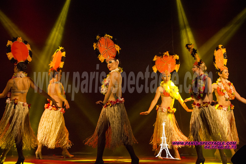 Où trouver un beau spectacle pour ma fête d'été