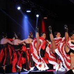 revue cabaret pays de loire