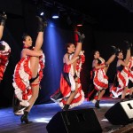 french cancan, paris spectacle